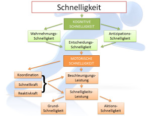 Schnelligkeitskomponenten